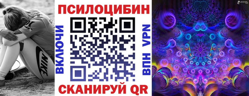 купить наркотик  Навашино  Галлюциногенные грибы Psilocybe 
